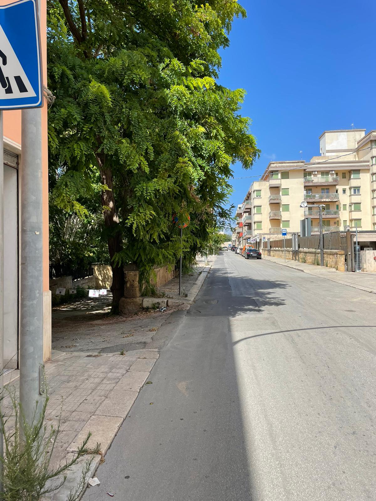 Marsala: in via Omodei gli alberi ostruiscono i marciapiedi e coprono i cartelli stradali