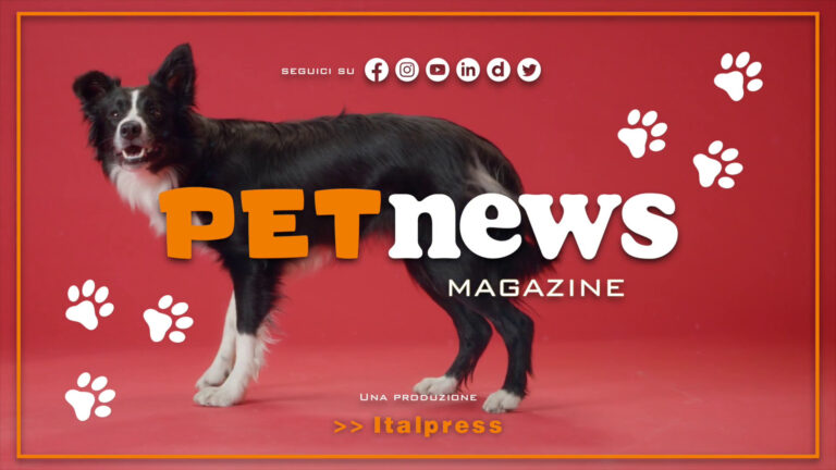 PetNews Magazine – 22/8/2023