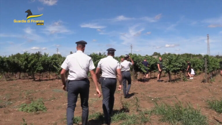 Scoperti oltre 900 falsi braccianti agricoli in provincia di Lecce