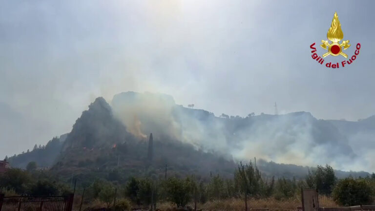 Incendi nel Palermitano, vigili del fuoco e Canadair in azione