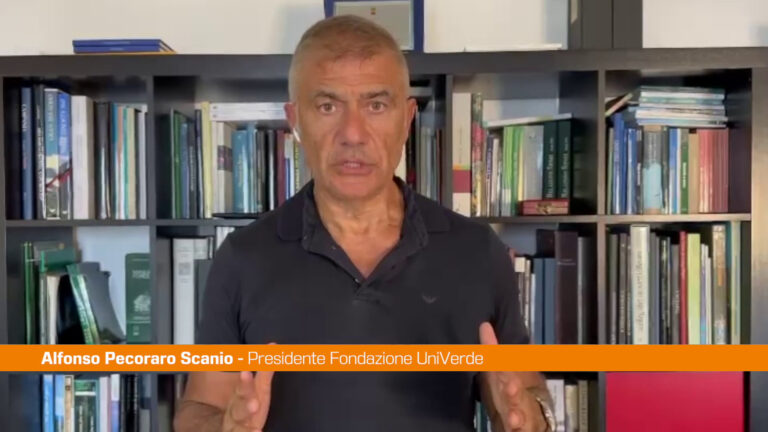 Pecoraro Scanio “Il Ponte sullo Stretto è una truffa mangiasoldi”