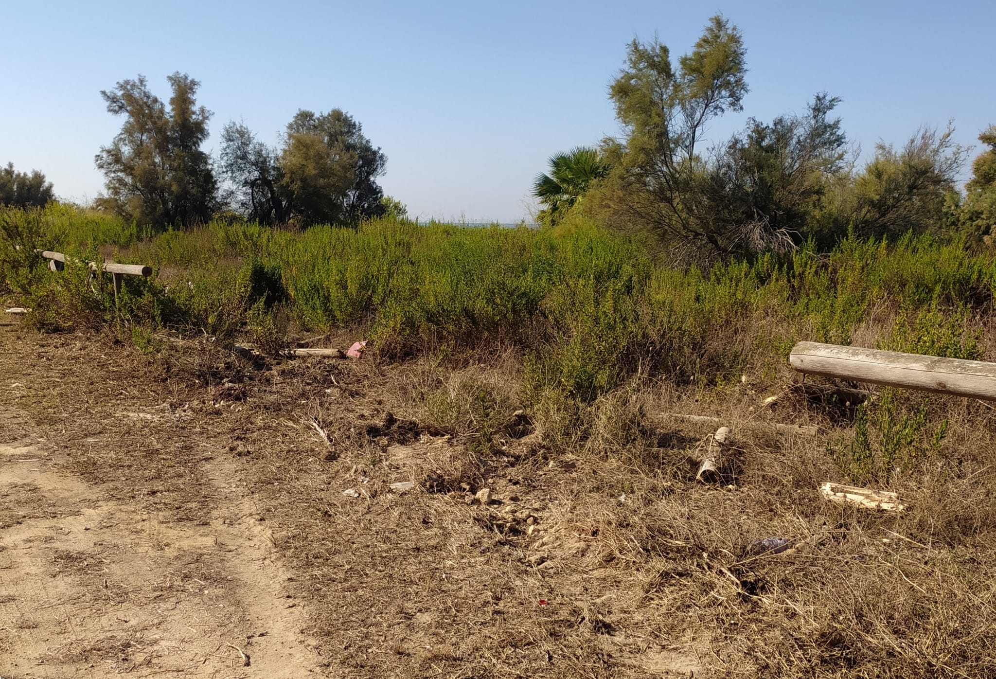 Incidente al lungomare di Marsala: una 500 sfonda lo steccato, ferite e traumi per il conducente