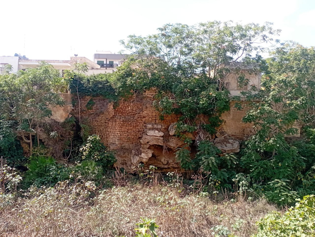 Degrado del Fossato Punico di Marsala, i cittadini denunciano