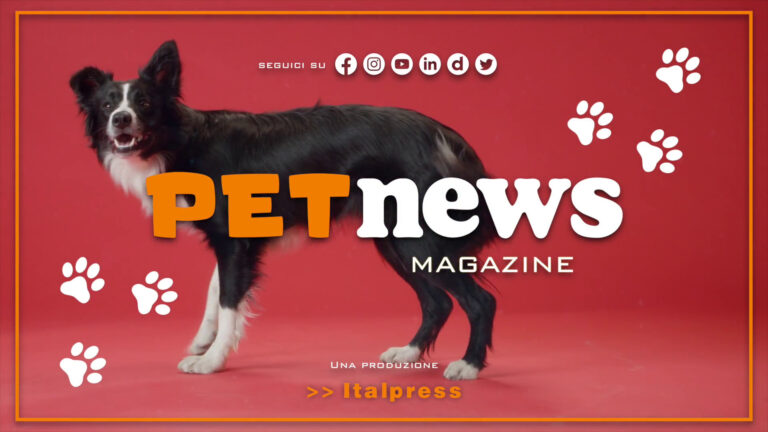 PetNews Magazine – 31/10/2023