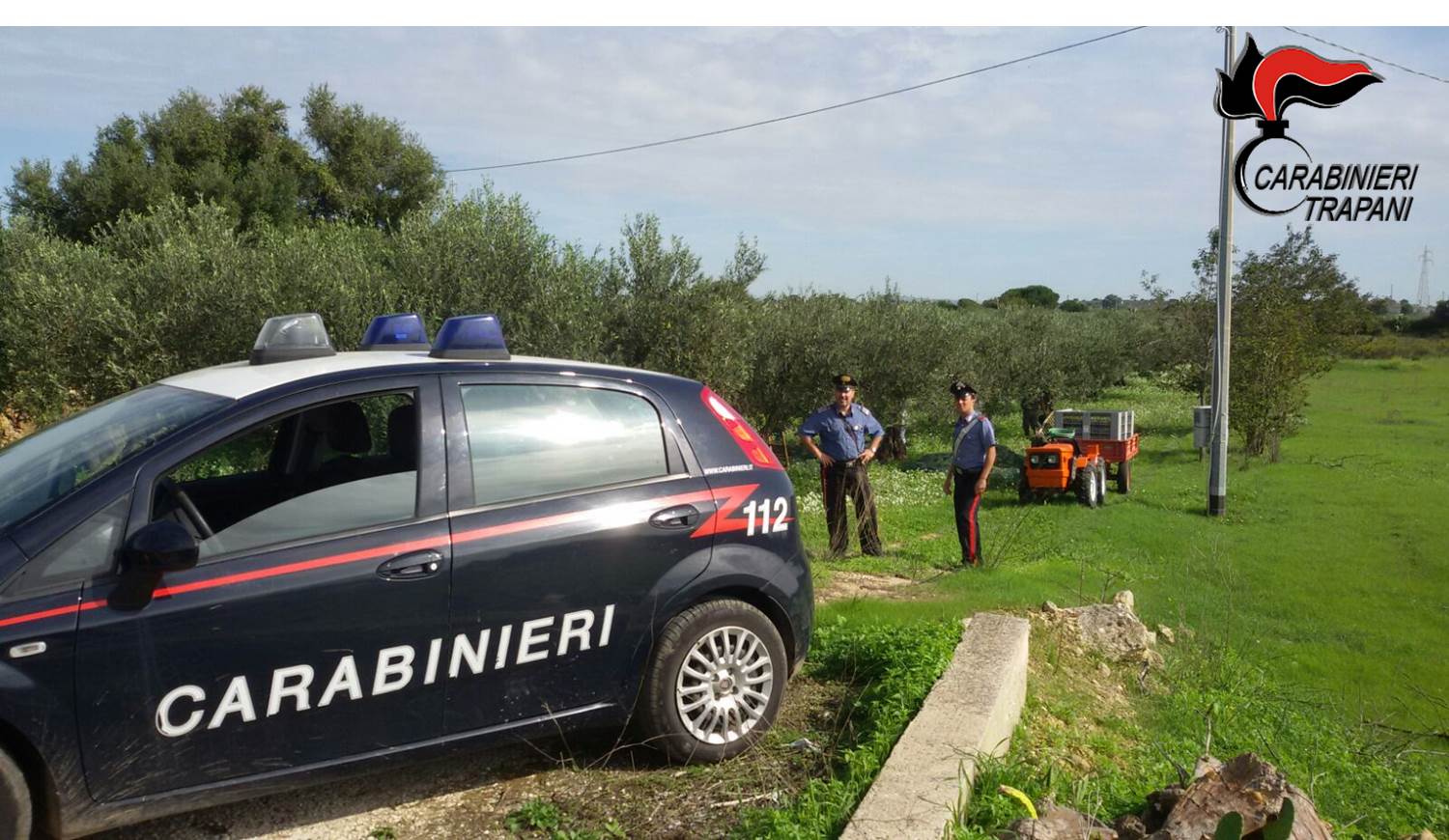 Aveva assunto in nero sei operai per raccogliere olive su di un terreno non suo. Denunciata una donna di Salemi