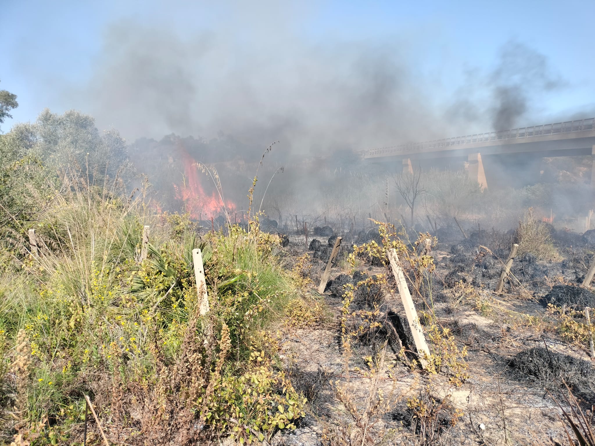 A Trapani provvedimenti contro incendi e fuochi, ecco cosa non si può fare