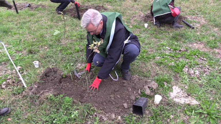 Al via progetto di riforestazione da Torino