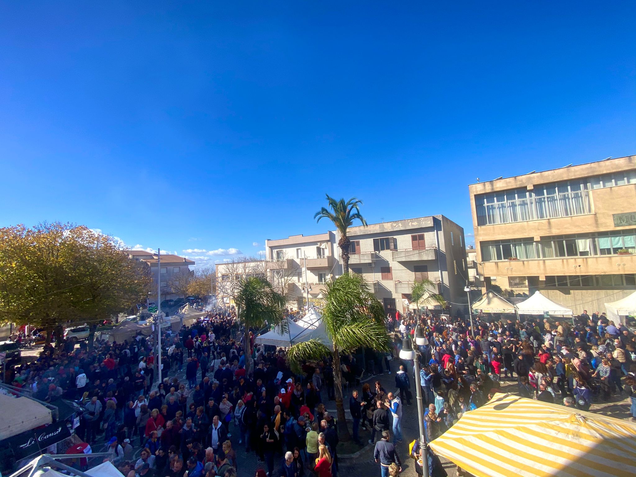 In migliaia in strada a Santa Ninfa per la Sagra “Un giorno da pecora”