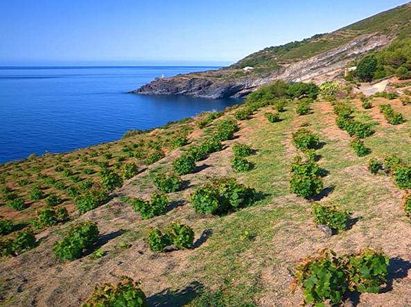 Pantelleria corre ai ripari e tutela il proprio territorio dai pericolosi incendi