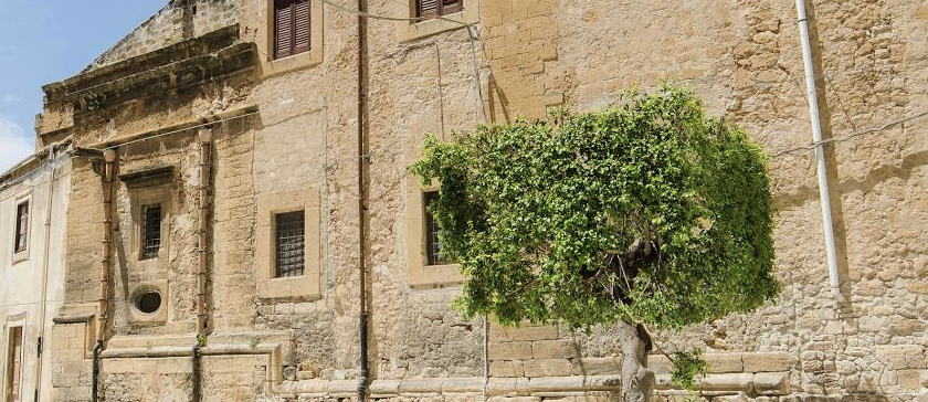 Europa Verde scrive al sindaco di Castelvetrano: “Migliorare la potatura degli alberi”