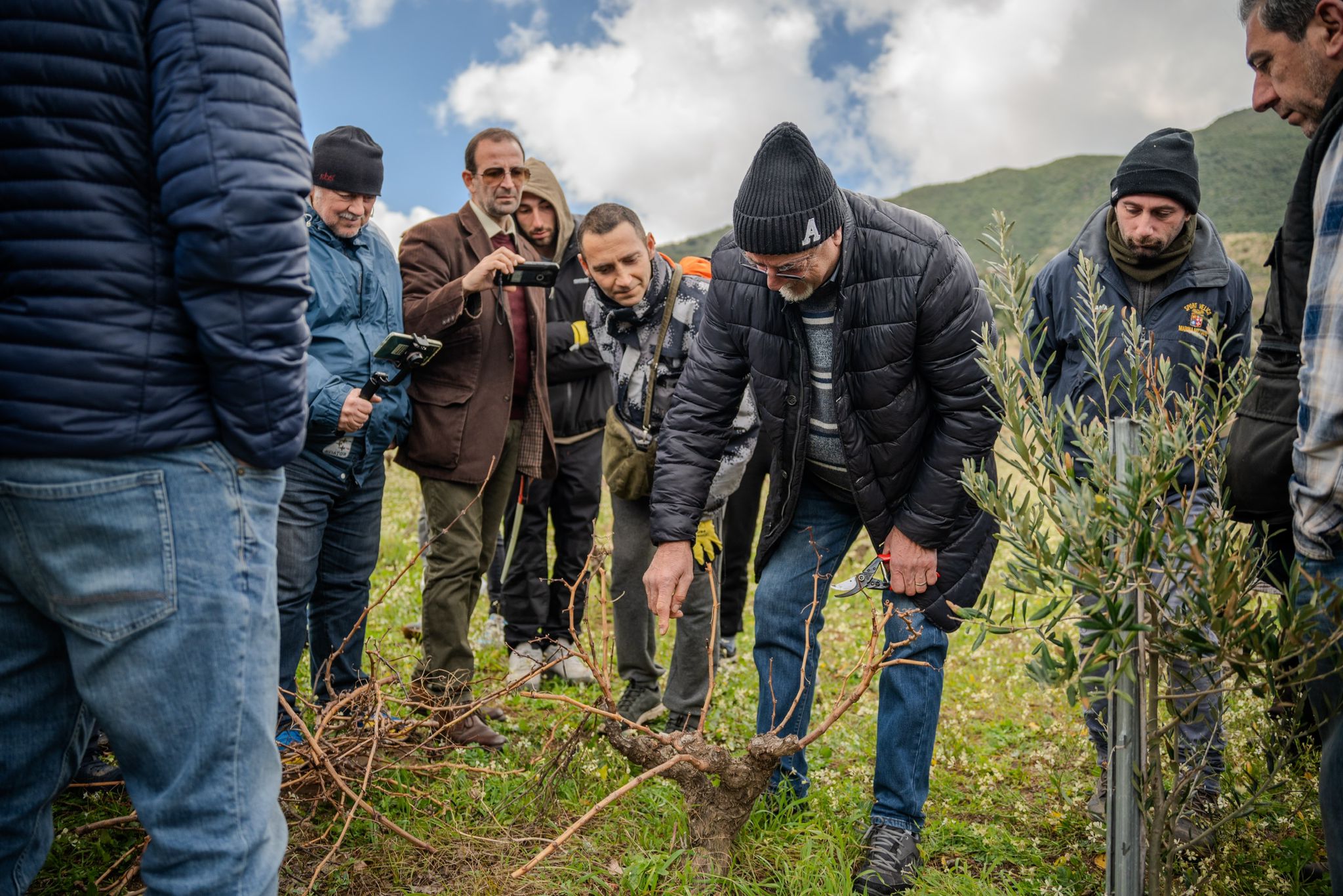 Al via il percorso di tutela della vite ad alberello di Pantelleria