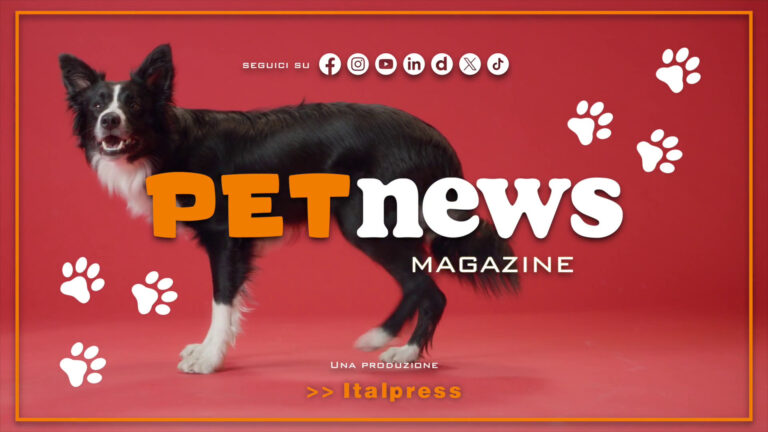 PetNews Magazine – 31/1/2024