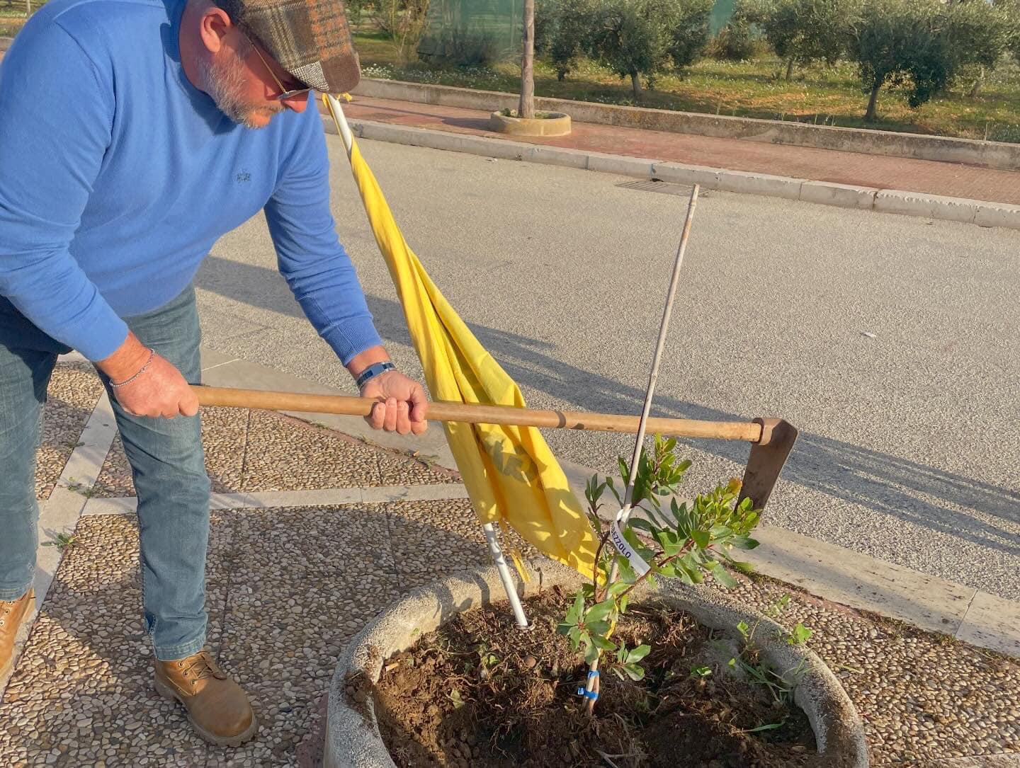 Ignoti estirpano gli alberi che Legambiente donò al Comune di Petrosino
