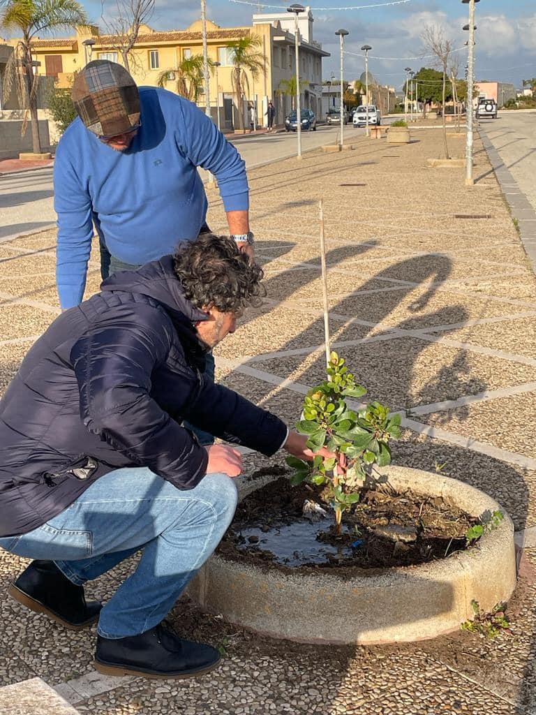 Sradicati gli alberi donati da Legambiente a Petrosino: “Denunceremo e vedremo le telecamere”