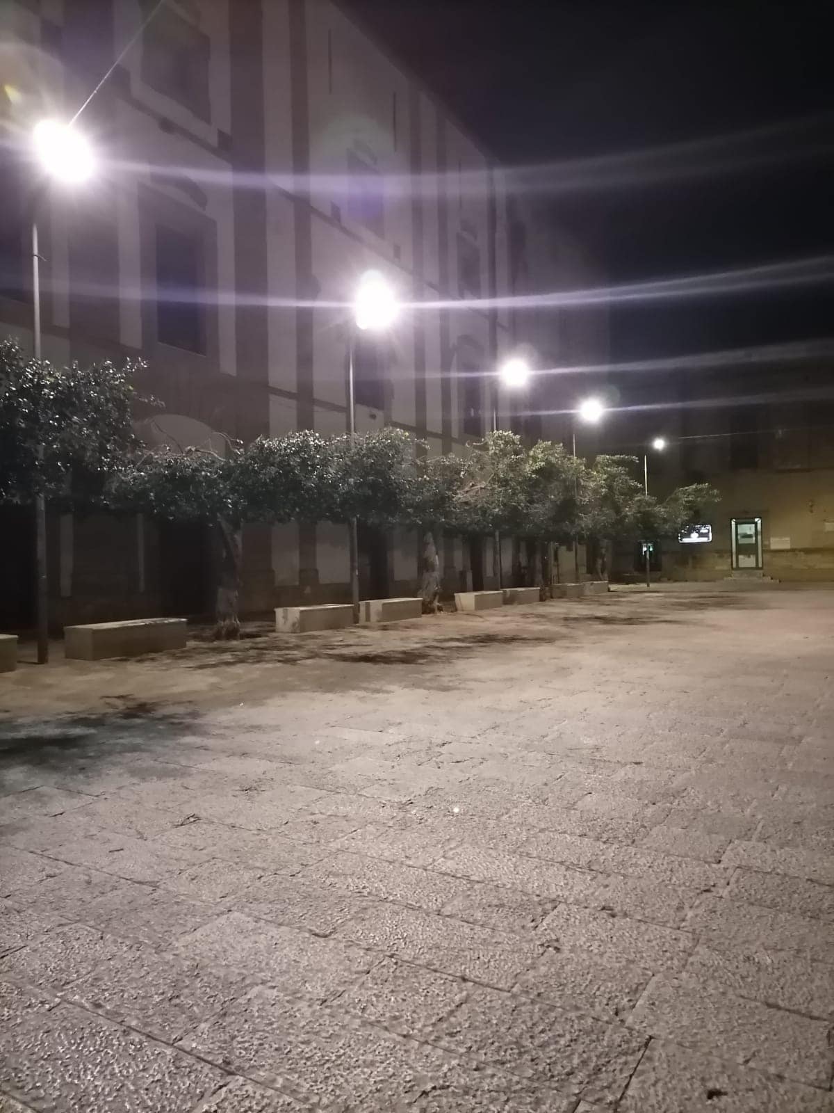 Castelvetrano si illumina e pota gli alberi (con la consulenza di un agronomo)