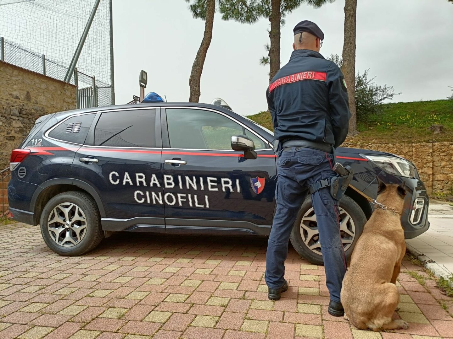 Stampava soldi e documenti falsi e in casa aveva armi, arresto a Palermo