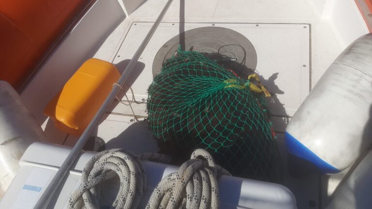 Pesca illegale di ricci, sequestri nella zona protetta di Levanzo