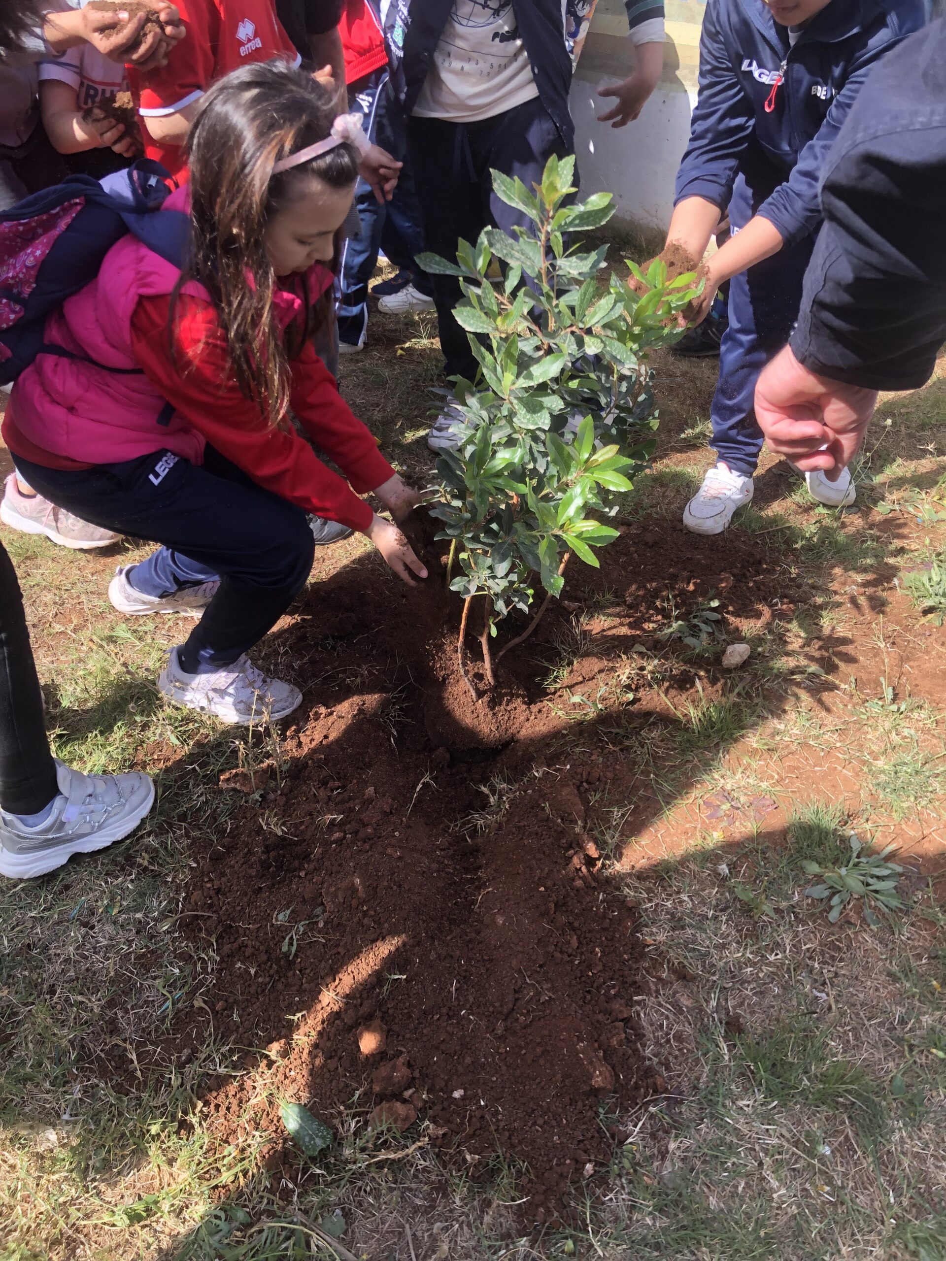 “Un albero per il futuro” piantato al Parco della Pace di Petrosino