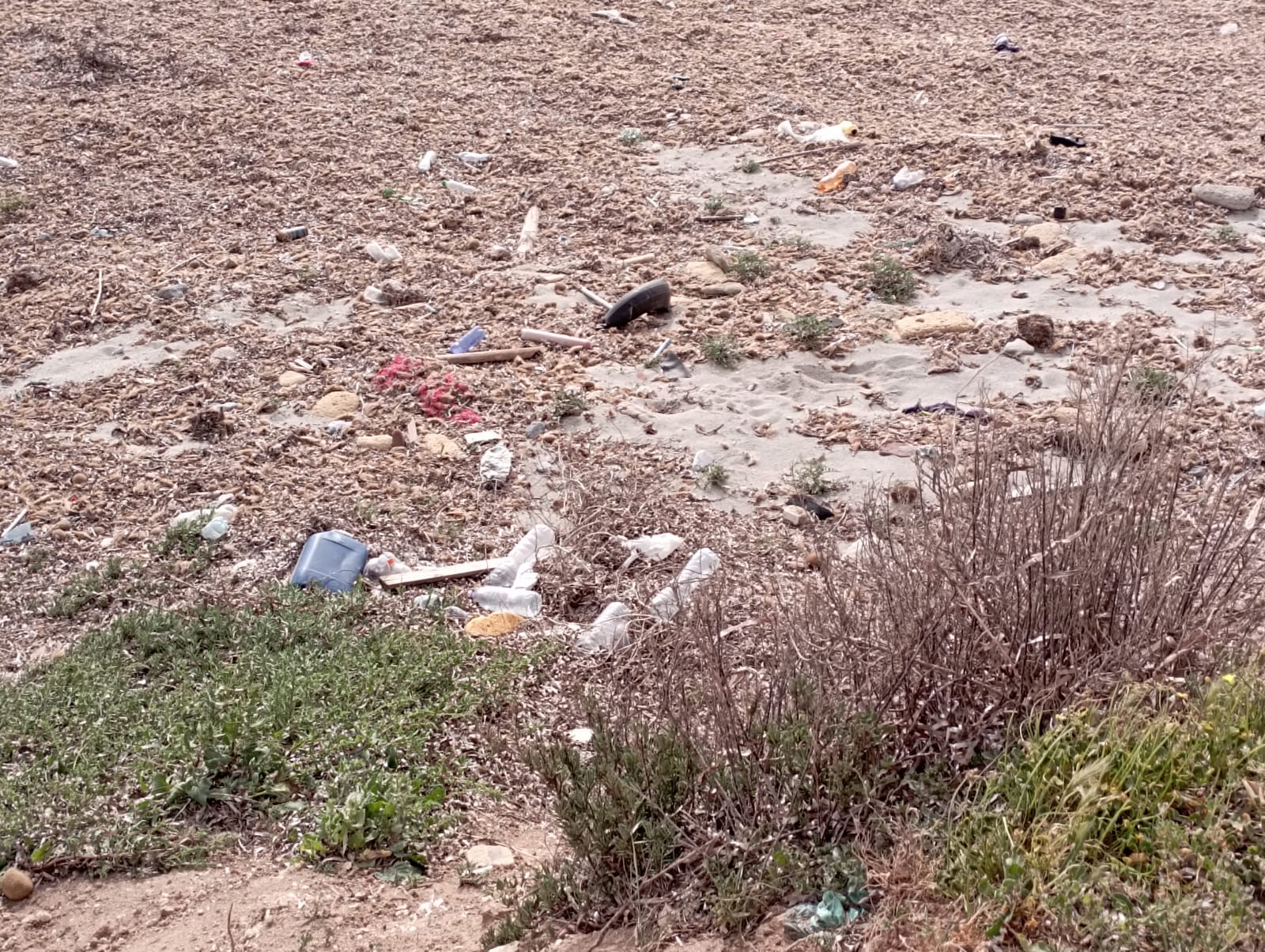 Bidoni, bottiglie, rifiuti: il panorama del Lungomare di Marsala