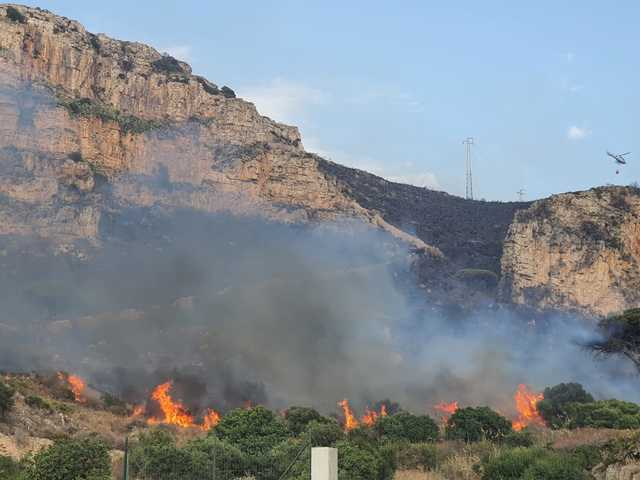 Prevenzione e lotta agli incendi: entro il 1° maggio la pulizia dei terreni ericini