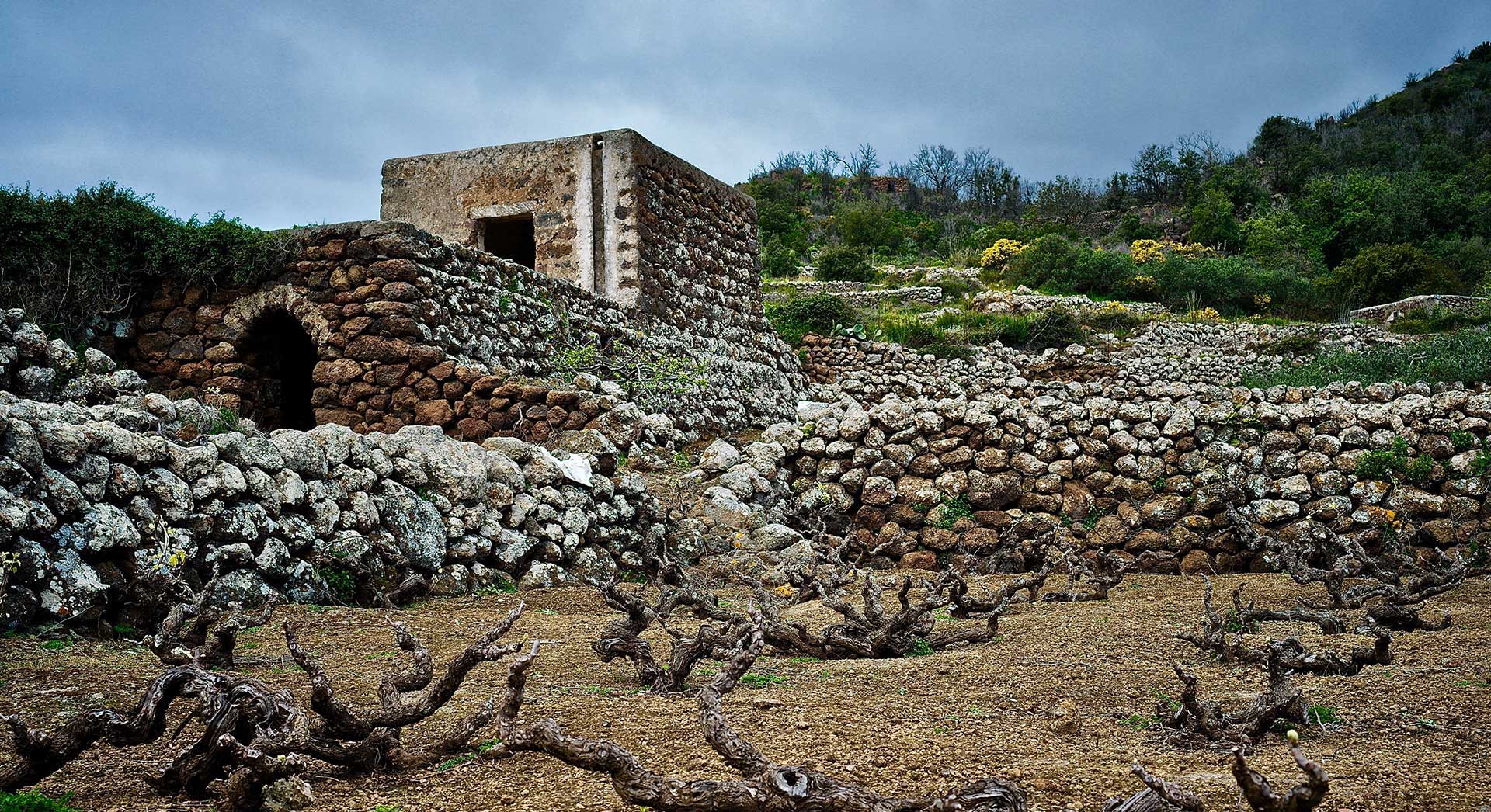 A Pantelleria un corso per preservare e tramandare i muretti a secco