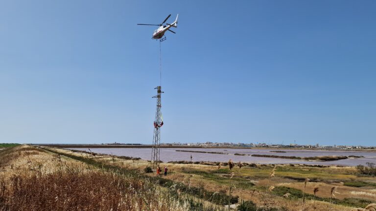 Eliminati i due elettrodotti nelle Saline di Trapani e Paceco grazie a WWF Italia ed E-Distribuzione