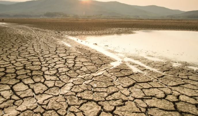 Legacoop Agroalimentare: “Dal Governo Nazionale 20 milioni per la siccità in Sicilia insufficienti”