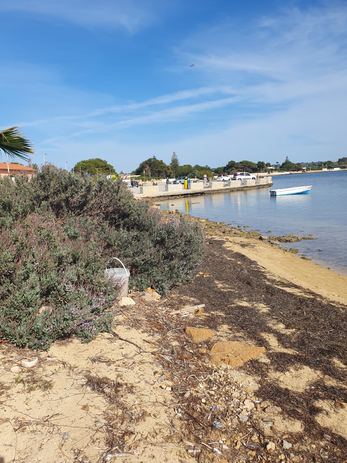 Una striscia di spiaggia allo Stagnone in stato di abbandono e da riqualificare