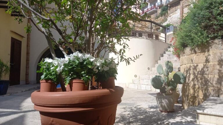 Castellammare, l’amministrazione presenta il concorso “Balconi Fioriti”