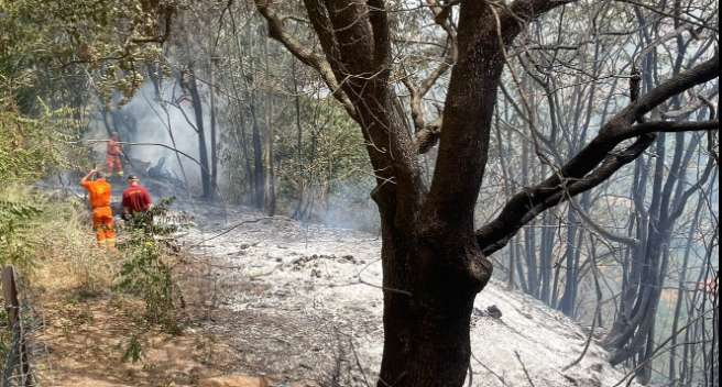 Incendio a Salemi, distrutti diversi ettari di vegetazione