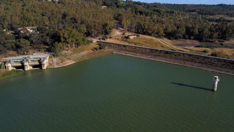 La Diga Trinità “fuori esercizio”: cosa succede alle coltivazioni trapanesi?