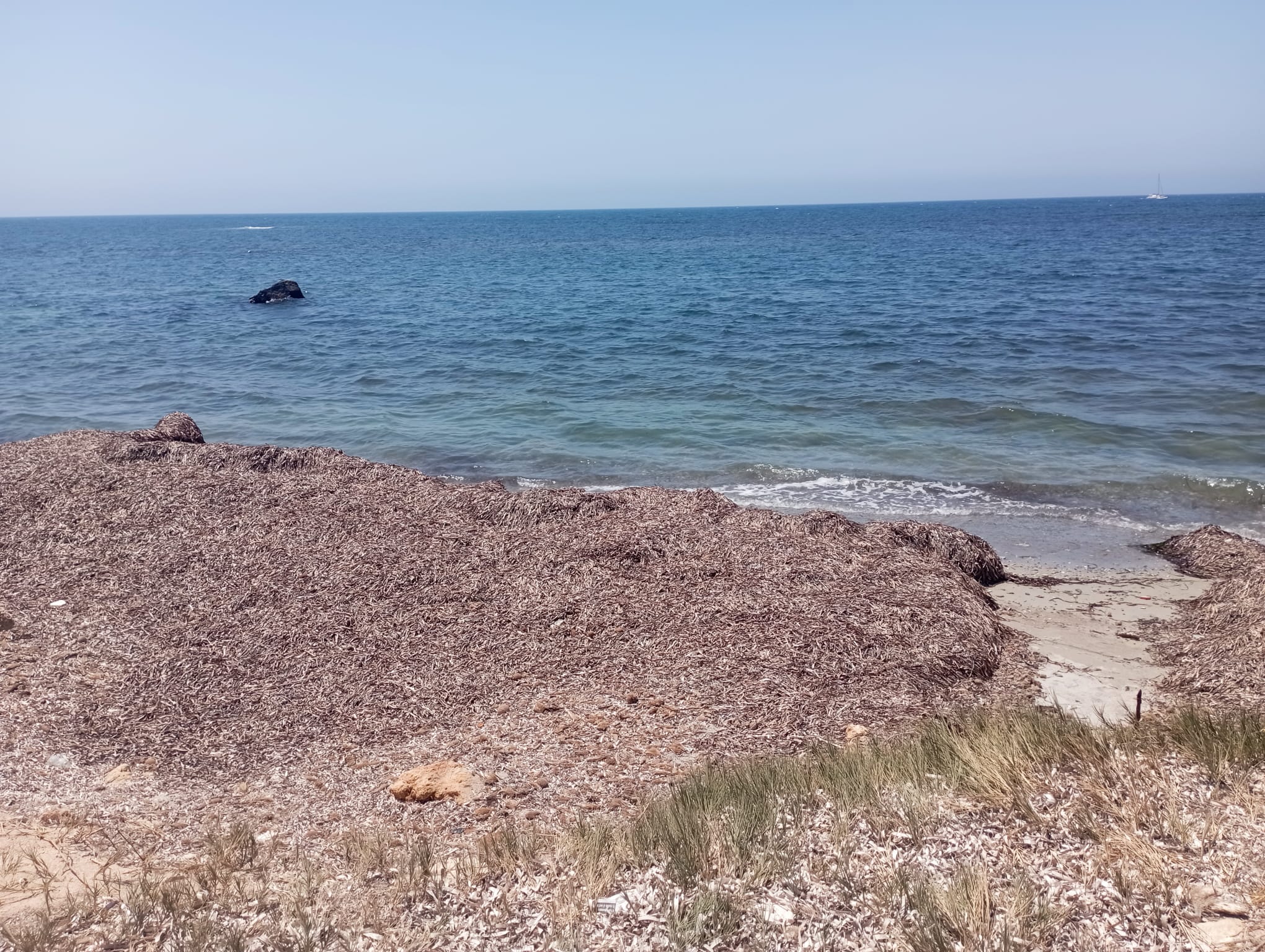 Marsala: tra demolizioni, posidonia e abbandono, il Fortino dimenticato