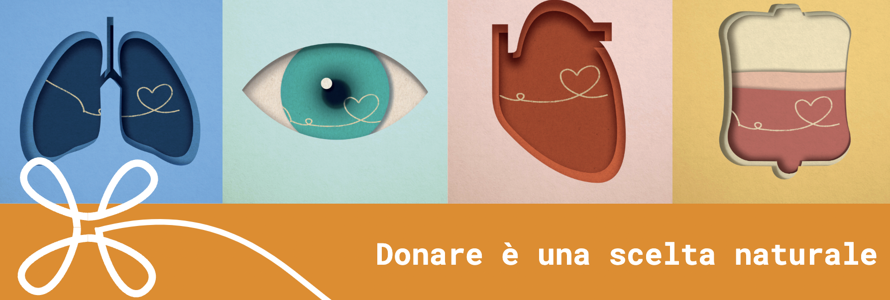 Marsala aderisce alla promozione della donazione degli organi