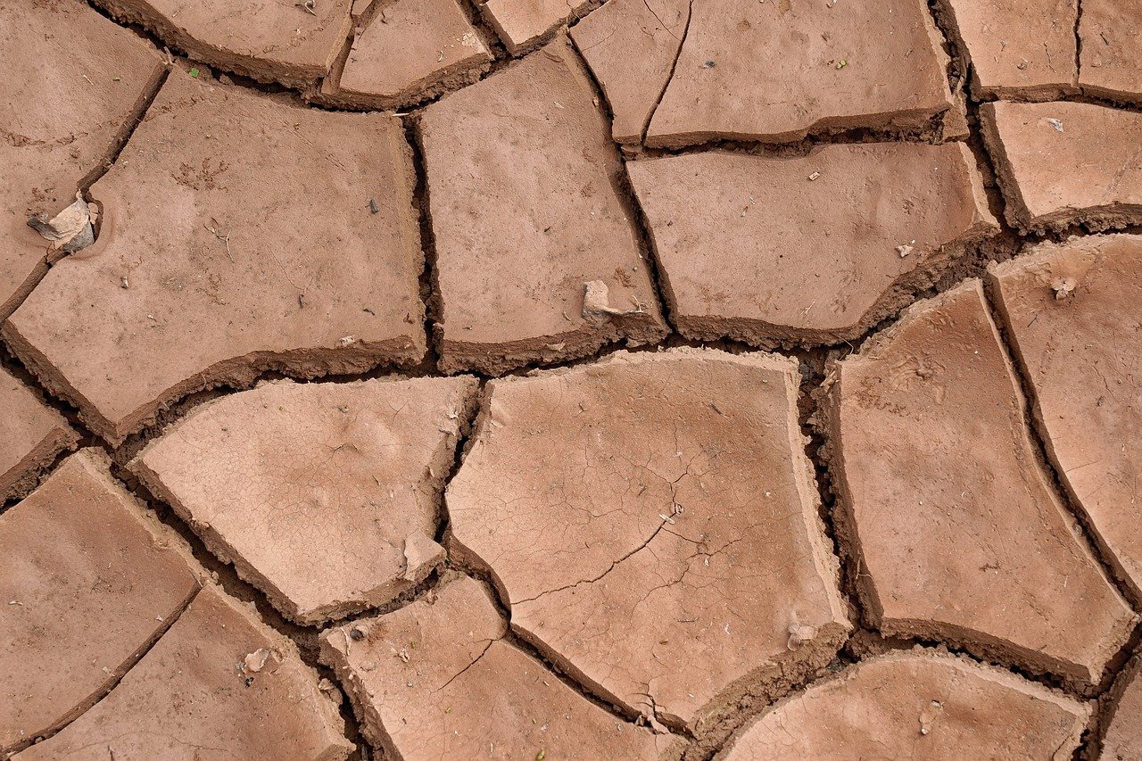 Cambiamenti climatici, Schifani nomina i membri dell’Osservatorio regionale