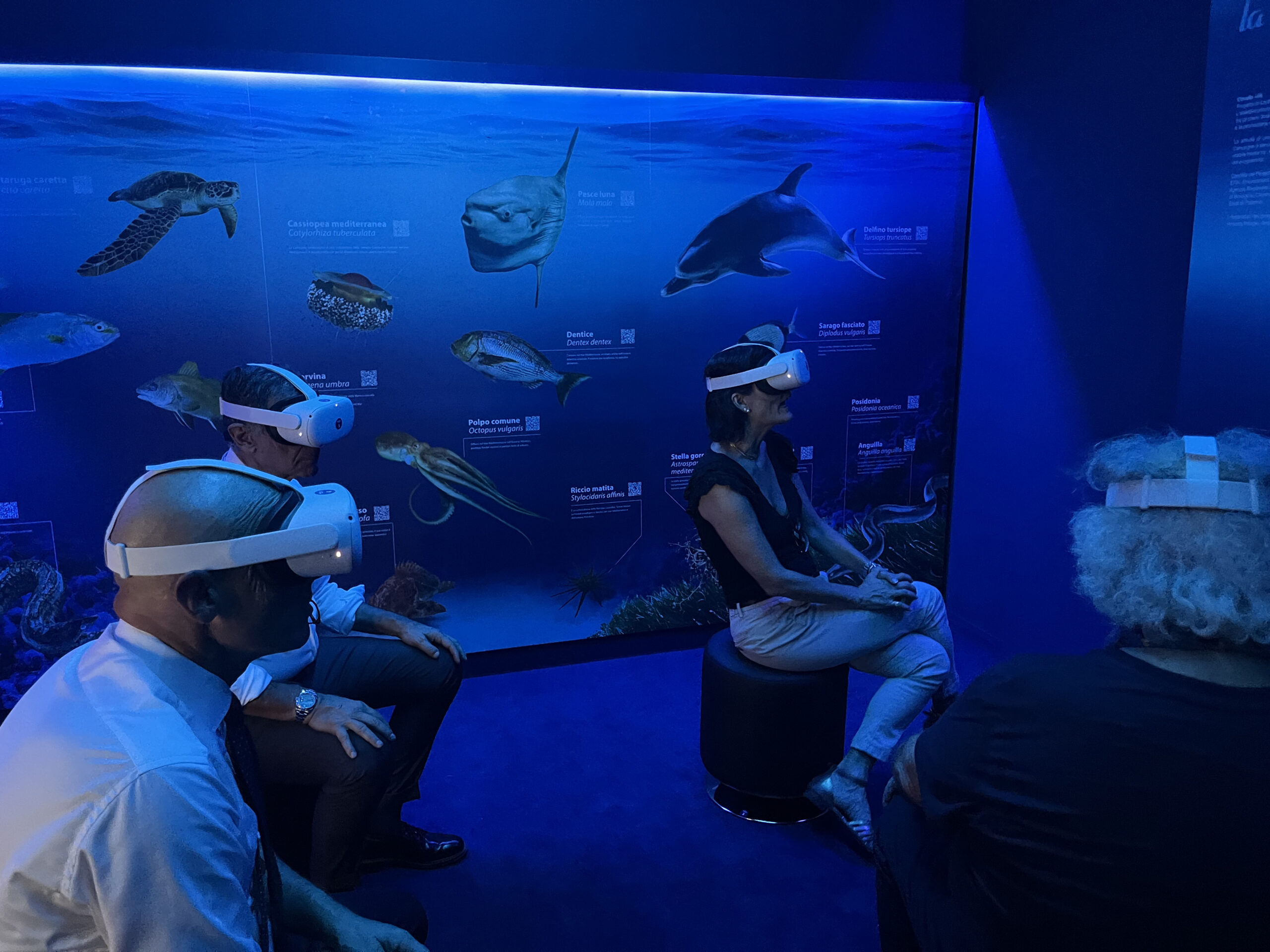 Museo Punta Spadillo: la stanza del mare e le attività di agosto a Pantelleria