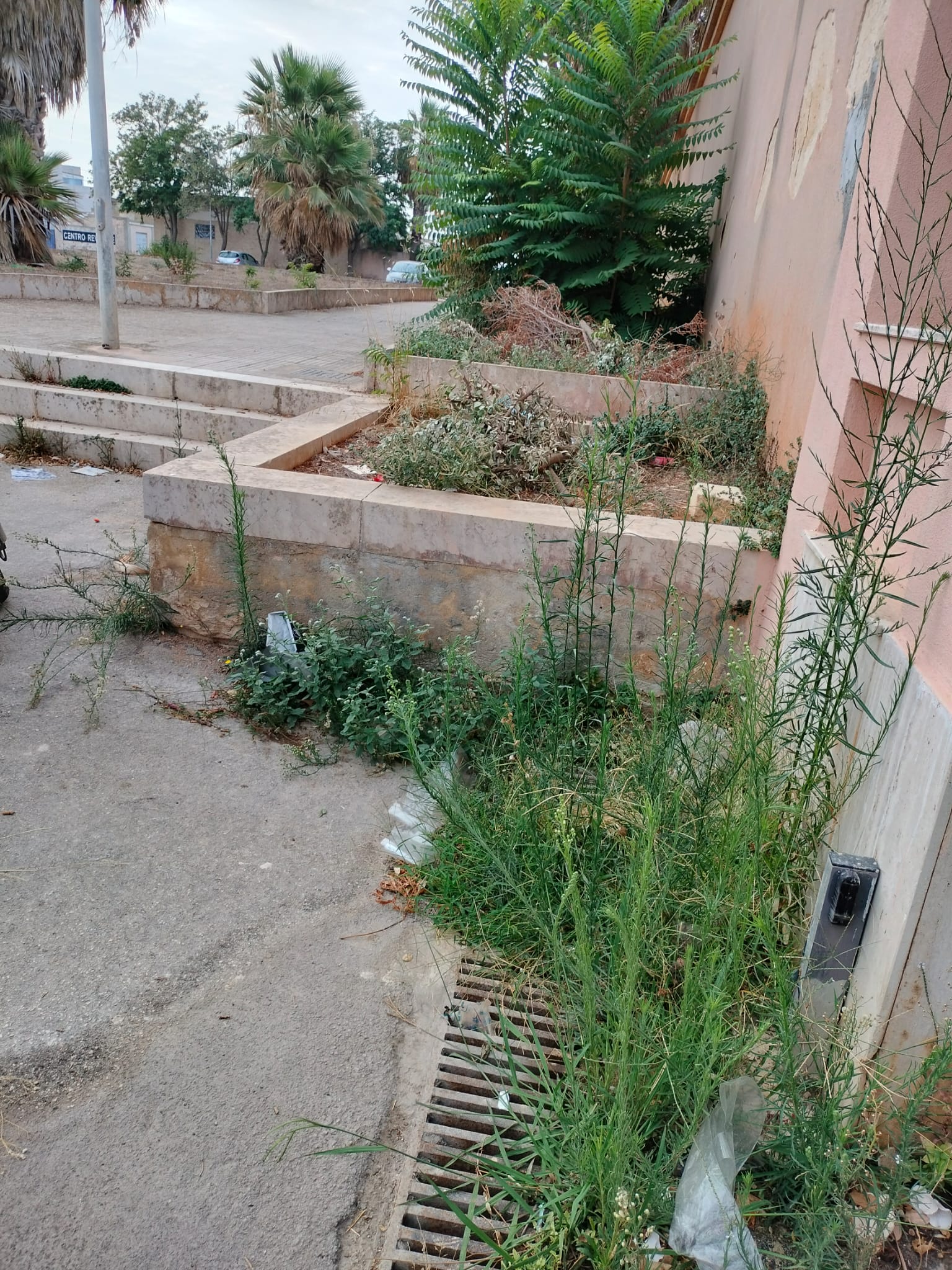 Marsala: sullo stato del cimitero la denuncia della consigliera Genna. La replica dell’assessore Gerardi