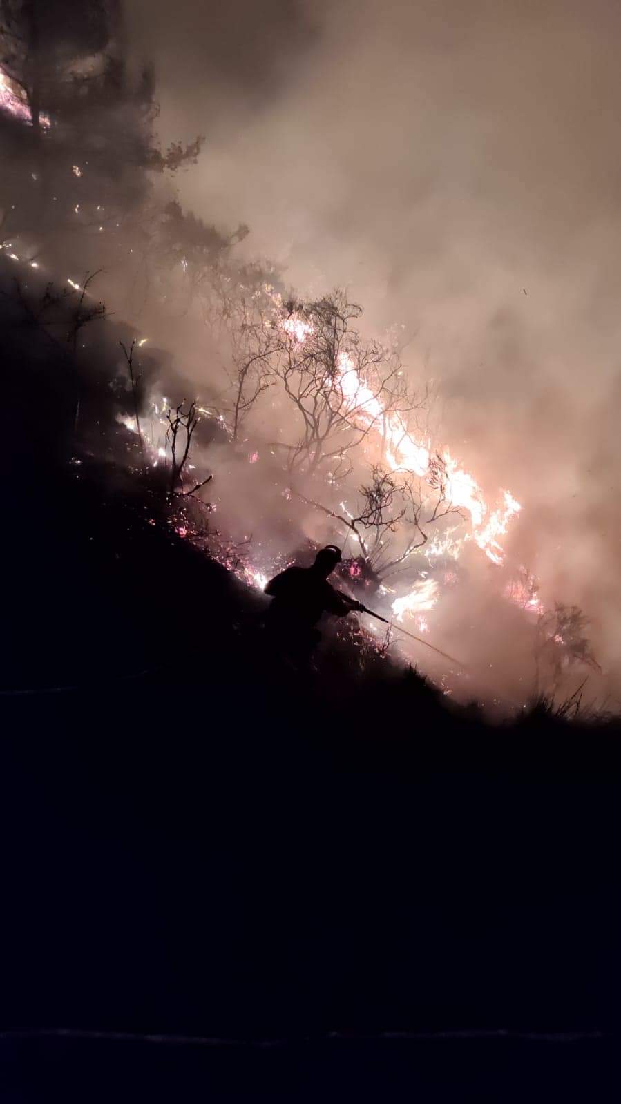 In Sicilia il 45% degli incendi nazionali, è nell’isola la Provincia italiana più colpita