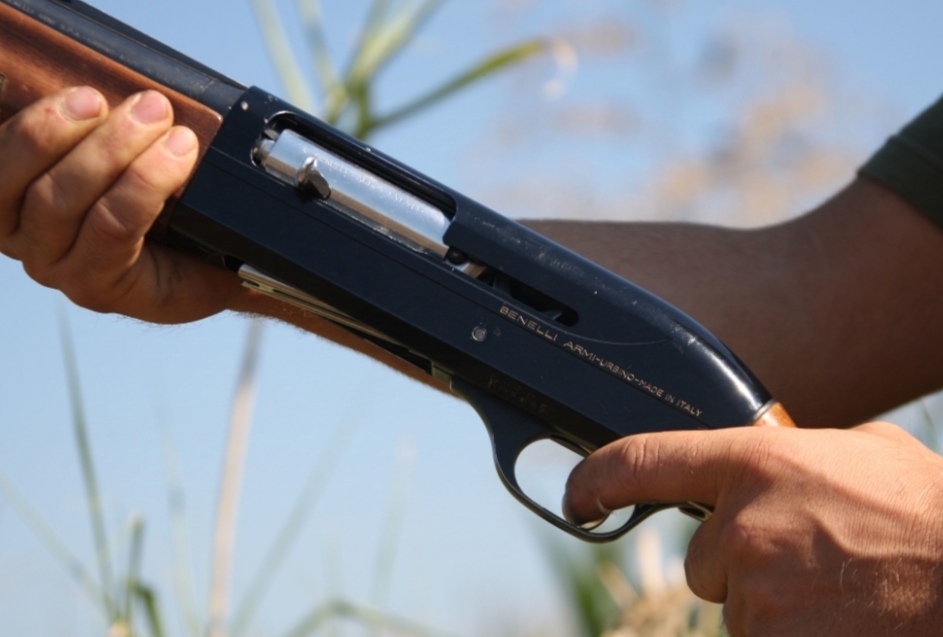 La caccia può continuare, il Tar Sicilia respinge il ricorso degli ambientalisti