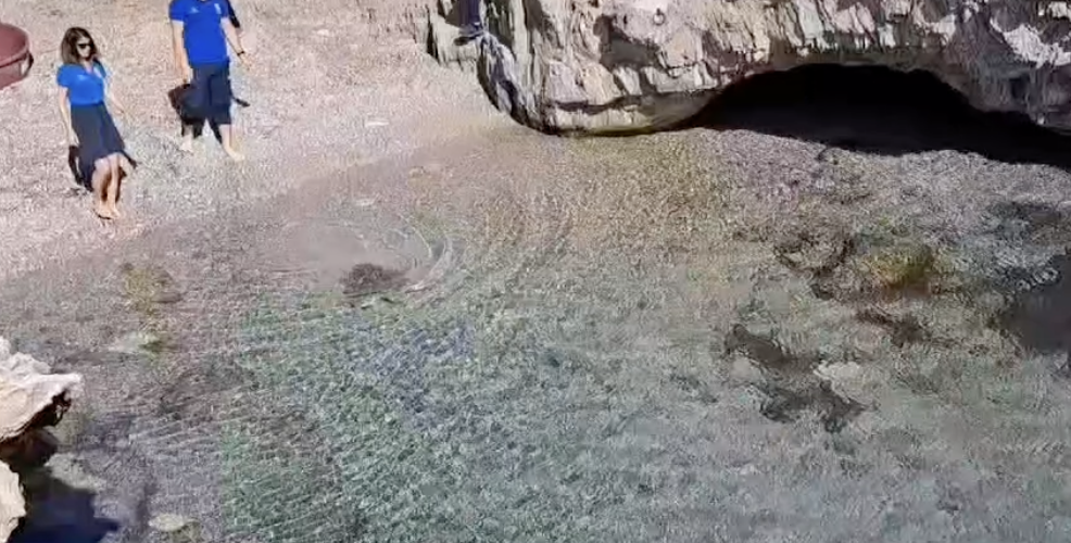 Egadi: dal Centro di Recupero al mare, Astra torna a casa. VIDEO