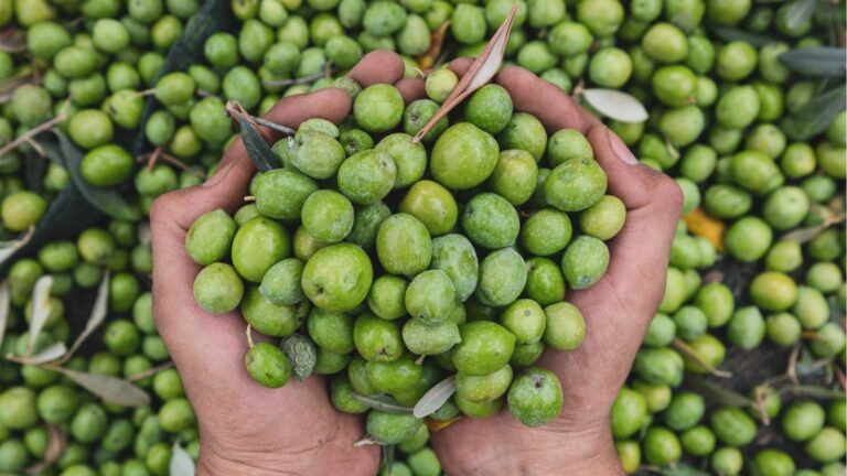 A Castelvetrano nasce il Club degli agricoltori Valle del Belice
