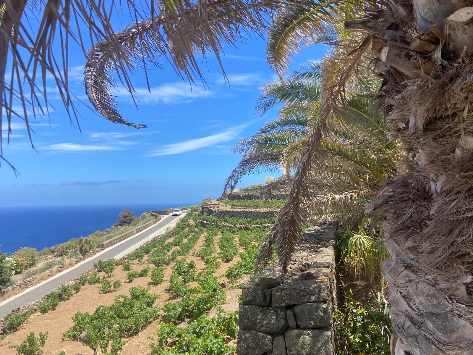 Il Distretto Sicilia Occidentale punta sul turismo di Pantelleria