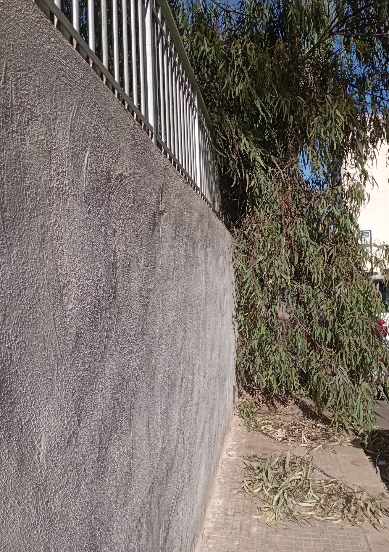 Marsala e il ‘problema’ del verde pubblico poco curato