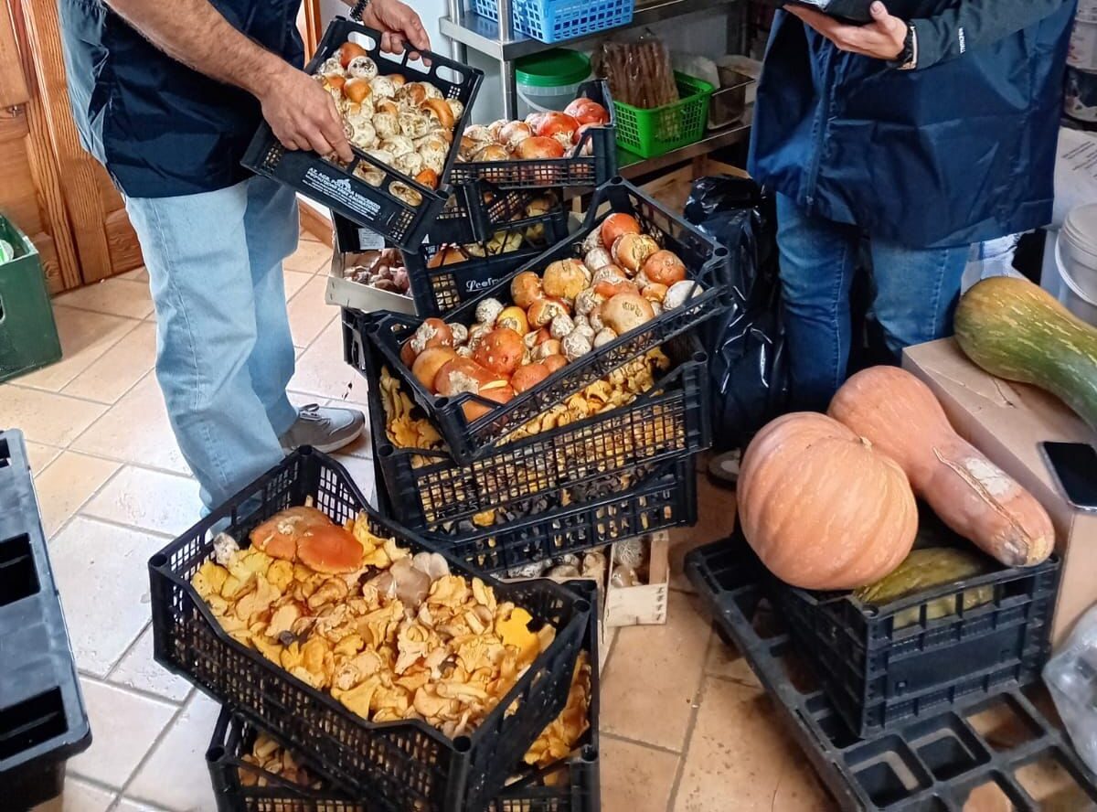 Sequestri in ristoranti e cantine anche nel trapanese, controlli a tappeto e sanzioni salate