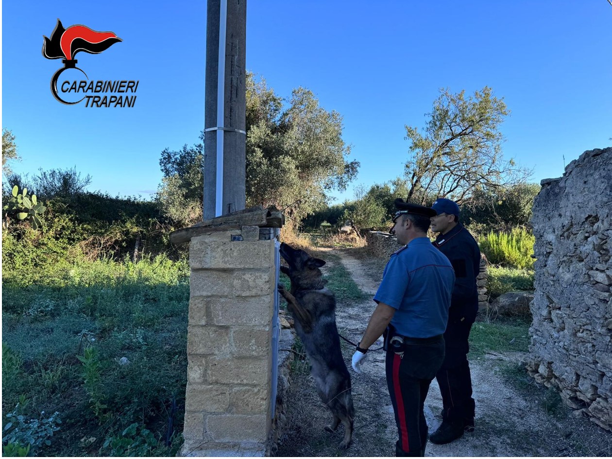 Castelvetrano, controlli nei casolari abbandonati. Eseguiti arresti e sequestro di droga