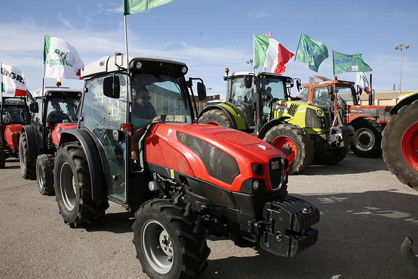 Peronospora, la Regione Siciliana risarcirà le aziende: sindacati attendono