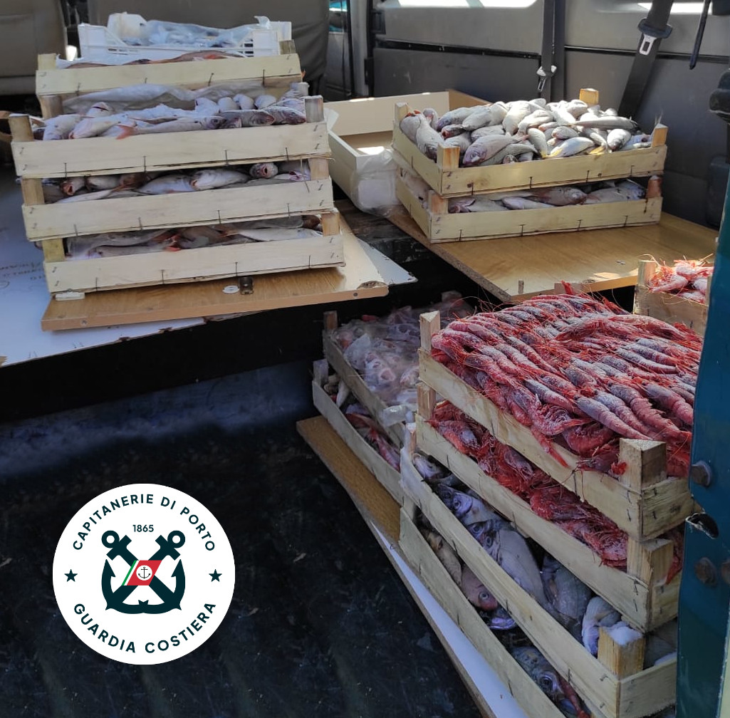 In Provincia di Trapani sequestrata quasi una tonnellata di pesce non tracciato, multe ed attività sospese