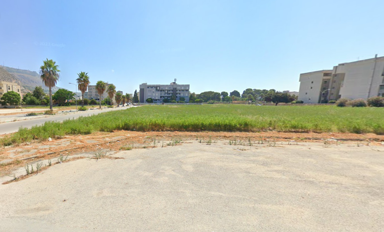 “Alberi per il futuro”, i 5 Stelle piantano alberi in un’area della città di Trapani
