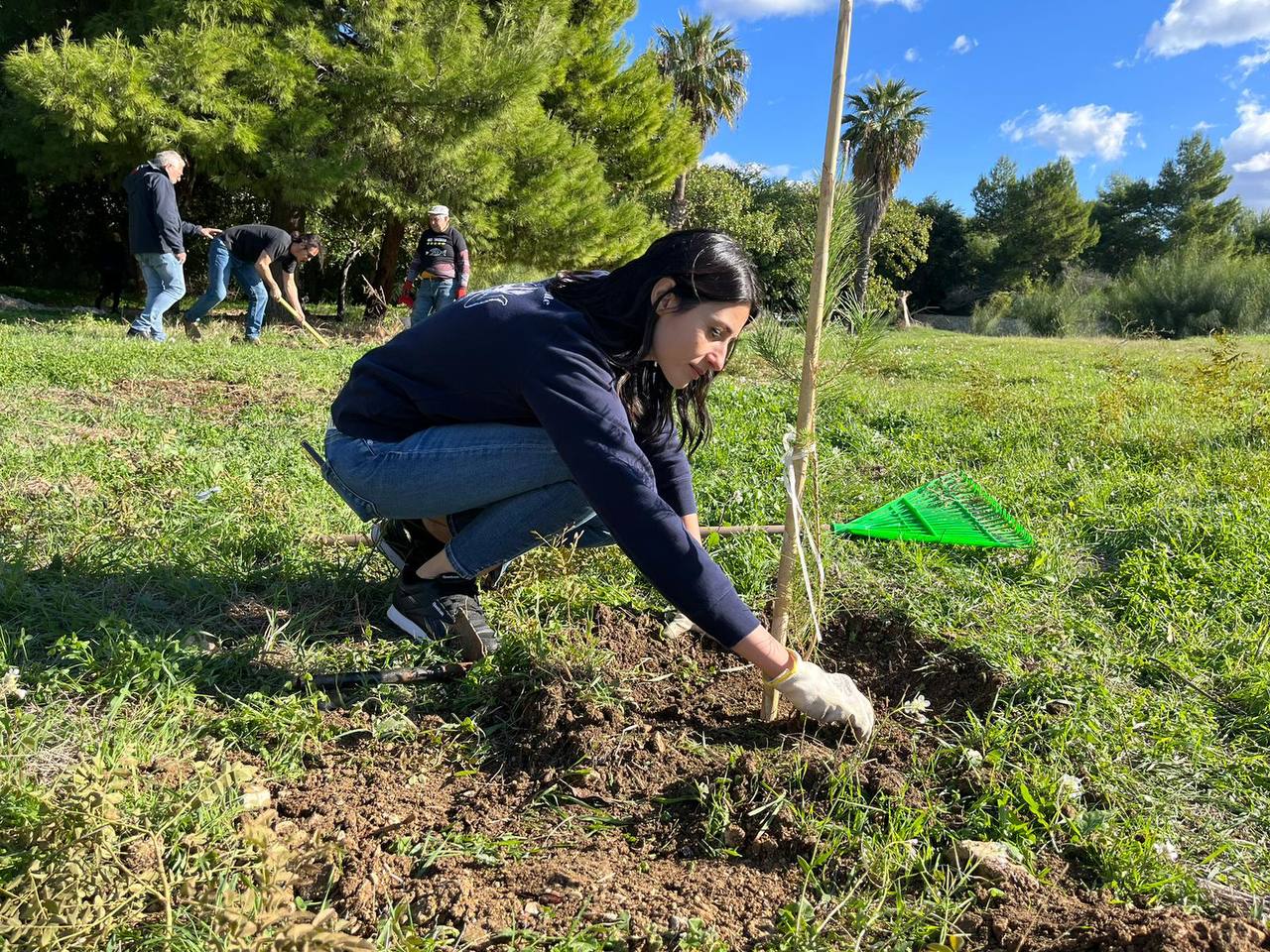 Alberi per il futuro, le iniziative del M5S in quattro comuni trapanesi