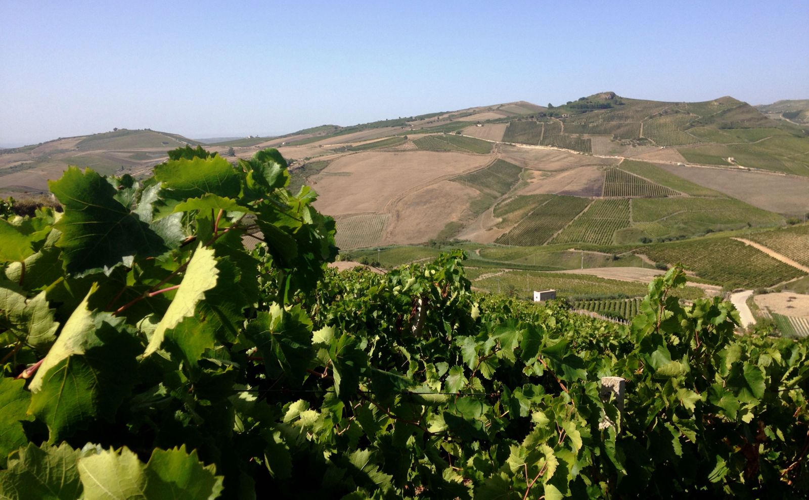 Salaparuta wine week, due giorni di degustazioni e storia vitivinicola