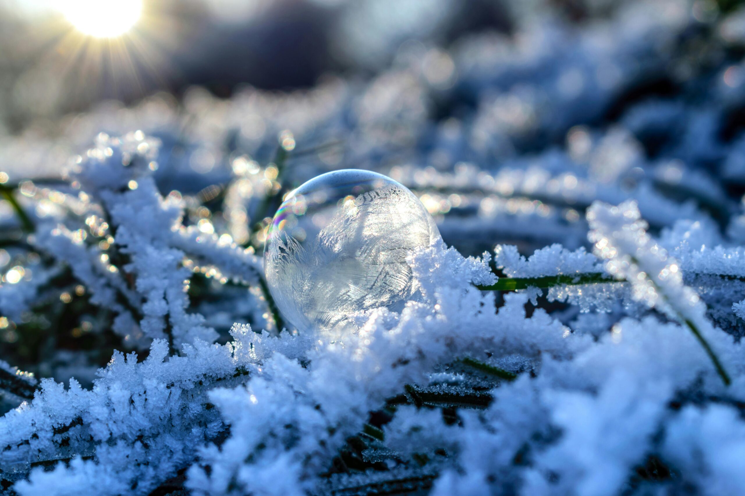 Correnti fredde e neve a bassa quota, il gelo arriva al Sud con dicembre